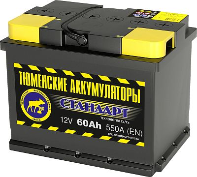 Автомобильный аккумулятор TYUMEN Battery Standart 60.0 Ач R+ EN550A (242х175х190)